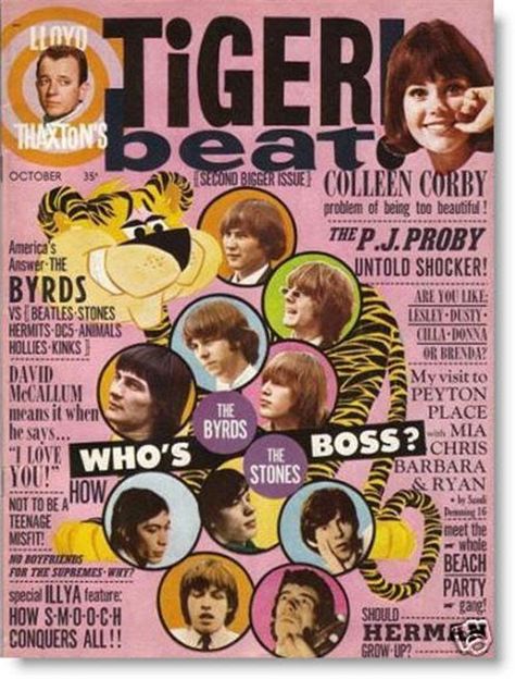 Tiger Beat Magazine, Colleen Corby, The Jonas Brothers, Tiger Beat, Teen Magazine, Jonas Brothers, Teenage Girls, Books For Teens, Vintage Magazines