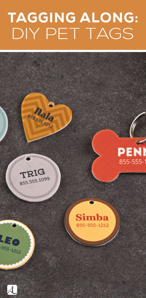 Diy Pet Tag, Diy Dog Tags How To Make, Diy Dog Name Tag, Pet Tags Diy, Dog Tags Diy, Stuffed Animal Names, Diy Name Tags, Pet Diy, Diy Dog Collar