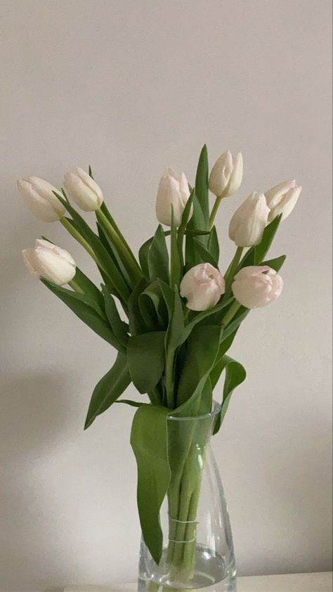 White Tulip Vase, Tulip Vase Aesthetic, White Tulips In Vase, Tulips In Vase Aesthetic, Bouquet Flower Aesthetic, Apartment Decor Pink, House Decor Bedroom, Flower Images Wallpapers, Fall Apartment Decor