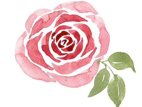 Tutorial: How to Paint a Watercolour Rose - Loose Style | Emily Wassell Easy Art Tutorials, Art Tutorials For Beginners, Watercolour For Beginners, Watercolour Tutorials, Loose Style, Learn To Paint, How To Paint, Art Tutorials, Step By Step