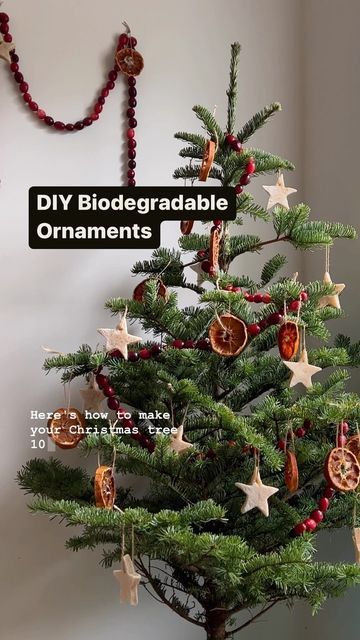 Eco Friendly Christmas Tree Decoration, Christmas Eco Friendly Decorations, Christmas Tree Sustainable, Sustainable Christmas Ornaments, Biodegradable Christmas Decorations, Sustainable Christmas Decor, Eco Friendly Christmas Tree, Homemade Natural Christmas Decorations, Thrifted Christmas Decor