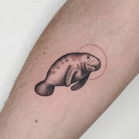 Manatee Tattoo, Sea Life Tattoos, Seal Tattoo, Pumpkin Tattoo, Cactus Tattoo, Elements Tattoo, Tattoo Life, Dream Tattoos, Back Tattoos