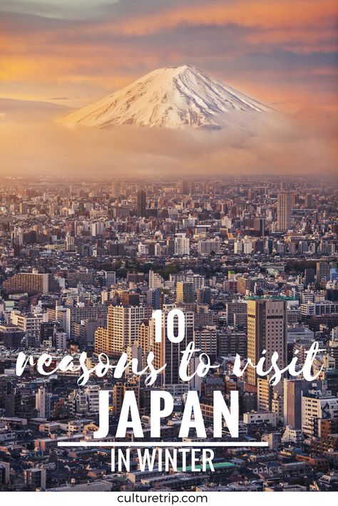 10 Reasons You Should Visit Japan In Winter Tokyo Winter, Japan Winter, Winter In Japan, Japan Bucket List, Tokyo Travel Guide, Exotic Beaches, Japan Travel Tips, Japan Travel Guide, Asia Travel Guide