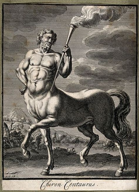 The Centaur Chiron in Greek Mythology Chiron Greek Mythology, Greek Creatures, Greek Mythological Creatures, Greek Mythology Tattoos, Roman Gods, Mythology Tattoos, Greek And Roman Mythology, Greek Mythology Art, Peter Paul Rubens