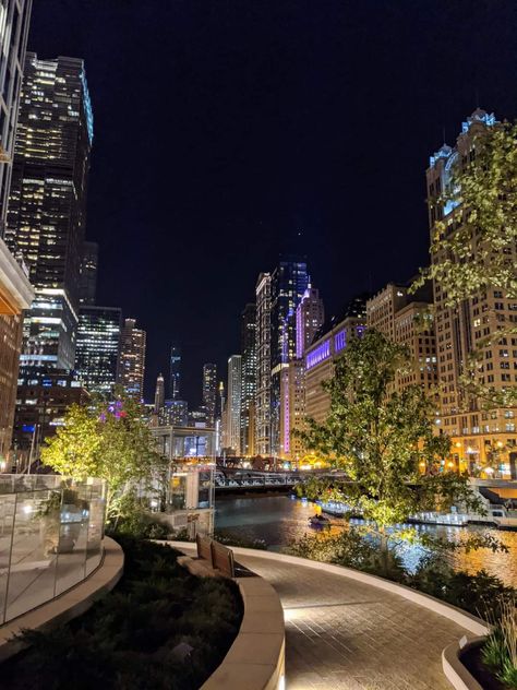 Calming Lights, Satisfying Images, Chicago Aesthetic, Chicago Pictures, Chicago At Night, Travel Destinations Photography, City Silhouette, Chicago Travel, My Kind Of Town