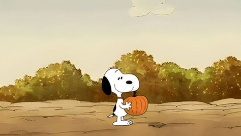 Fall Computer Backgrounds, Snoopy Gif, Desktop Wallpaper Fall, Peanuts Wallpaper, Helloween Wallpaper, Macbook Air Wallpaper, Snoopy Halloween, Thanksgiving Wallpaper, Cute Laptop Wallpaper