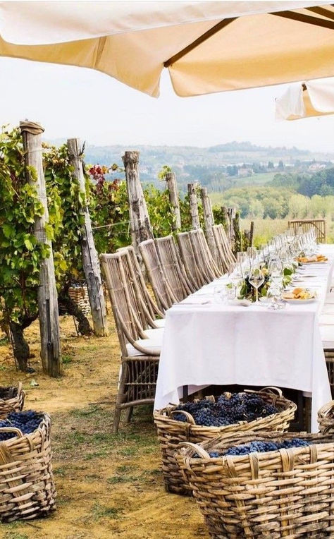 Autumn Vineyard, Italian Vineyard, Country Autumn, Villa Toscana, Wedding Vineyard, Outdoor Pool Area, Wine Vineyards, Piedmont Italy, Niagara On The Lake