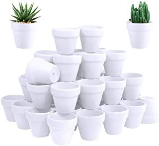 Amazon.com : 2 inch succulent pots Mini Clay Pots, Small Terracotta Pots, Cactus Plant Pots, Mini Plant Pots, Terra Cotta Clay Pots, Terra Cotta Pots, Mini Clay, Plant Care Instructions, Terra Cotta Pot