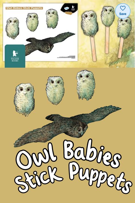 Owl Babies Craft, Owl Activities For Toddlers, Owl Babies Activities, Owl Babies Book, Owl Activities, Owls Art, Owl School, Owl Babies, Weekly Themes