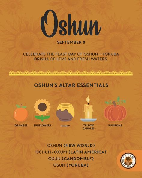 Celebrate the feast day of Oshun (September 8) with her altar essentials. To learn how to work with Oshun, visit our blog at yeyeo.com/blogs/yeyeo-botanica-blog AND our YouTube channel at youtube.com/yeyeobotanica. Oshun Altar, Oshun Prayer, Altar Essentials, Yoruba Deities, Yemaya Orisha, Orisha Oshun, Oshun Goddess, Yoruba Orishas, African Traditional Religions