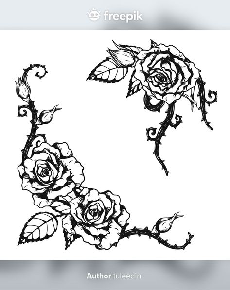 Tatoo Pic, Ornament Tattoo, Vector Rose, Rose Ornament, Rose Hand Tattoo, About Rose, Collage Book, Roses Drawing, Hand Draw