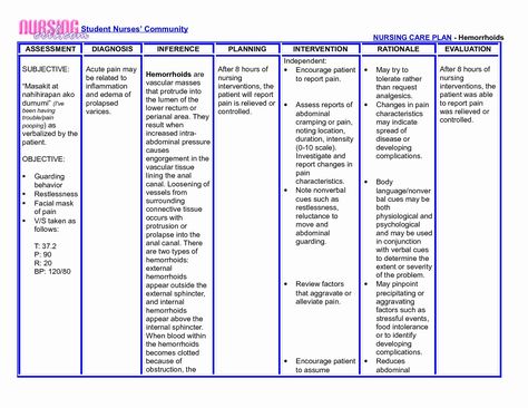 30 Examples Of Nursing Care Plans | Example Document Template Nursing Care Plan Template, Care Plan Template, Teaching Plan Templates, Art Resume, Nurse Teaching, Nursing Home Care, Template Art, Community Nursing, Nursing Diagnosis