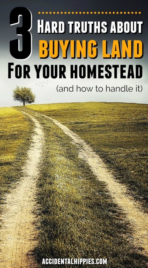 You want to buy land and build your dream homestead. You search the MLS for parcels of land that fit your family's needs, but you keep coming up empty. Or the land you find doesn't have what you want. We bought 16 acres and built a homestead from scratch. These are the three hard truths we learned about the process of buying homesteading land, and what you can do about it. #homesteading #buyingland #howtobuyland Homestead Land, Dream Homestead, Buying Land, Rural Land, Homesteading Diy, Buy Land, Build Your House, Living Off The Land, Home Buying Tips