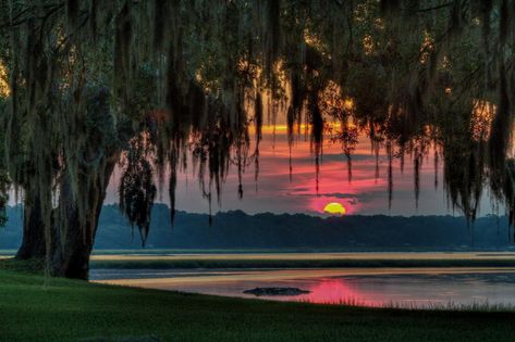 Southern Aesthetic, Southern Town, Bluffton South Carolina, South Carolina Beaches, Beaufort Sc, Photography Kit, Carolina Beach, New River, Spanish Moss