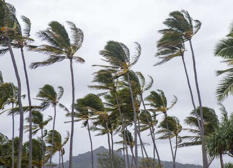 Highest Wind Speed Recorded in America | The Strangest Weather Events in US History Tornado Alley, Strange Weather, Crazy Weather, Weather Instruments, Extreme Weather Events, Dust Bowl, Bob Vila, Storm Surge, Falling From The Sky