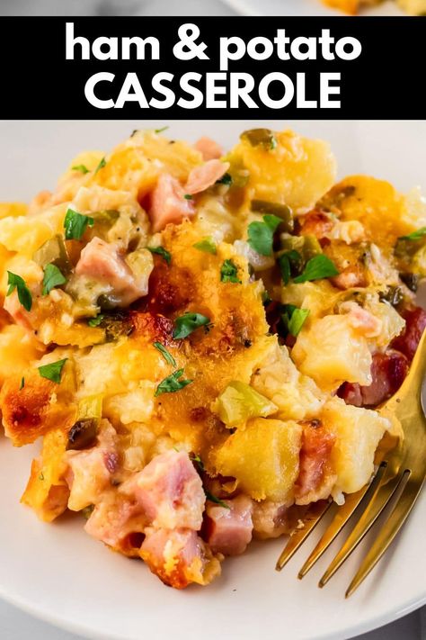 Ham and Potato Casserole is perfect for holiday dinners, gatherings, and potlucks. Baked tender potatoes with savory ham in a cheesy sauce. Fried Ham And Potatoes, Ham And Mashed Potato Casserole, Ham And Potato Bake, Ham And Potato Casserole Recipes, Ham And Potatoes Casserole, Ham Casserole Recipes Easy, Ham And Cheese Potato Casserole, Leftover Ham Ideas, Potato Ham Casserole