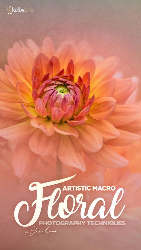 Jackie Kramer’s “Artistic Macro Floral Photography” is now on KelbyOne. Go watch it now! https://kel.by/JKramer-Macro Fine Art Flower Photography, Floral Photography Nature, Macro Flower Photography, Flower Photography Art, Macro Photography Abstract, Macro Fotografie, Florida Botanical Gardens, Online Photography Course, Macro Photography Flowers