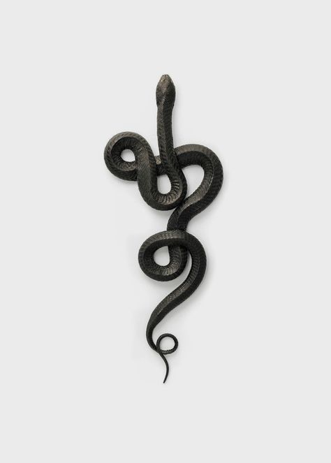 Christopher Marley, Tattoo Snake, Cobra Art, Gig Poster, Snake Art, Slytherin Aesthetic, Diy Tattoo, Tattoo Feminina, Black Snake