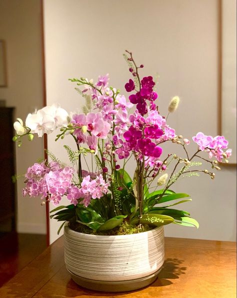 Live Orchid Arrangements, Orchid Arrangements Ideas Vases, Orchids Arrangements Ideas, Orchid Arrangements Centerpieces, Orchid Floral Arrangements, Orchid Interior Design, Orchid Centerpiece, Orchid Flower Arrangements, Orchid Centerpieces