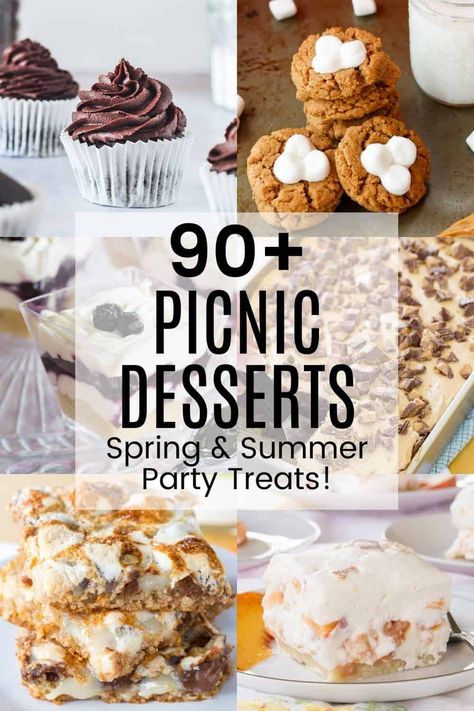 90+ Picnic Dessert Recipes - the sweet treats you need for spring and summer picnics, barbecues, pool parties, and other fun outdoor gatherings. Cakes, cookies, brownies, and more, these easy dessert recipes for a crowd will be a sweet ending to your day, and there are plenty of gluten free options too! Dessert For Picnic, Picnic Dessert Recipes, Summer Picnic Desserts, Desserts For Spring, Barbecue Desserts, Picnic Dessert, Dessert Recipes For A Crowd, Cupcakes Fruit, Picnic Desserts