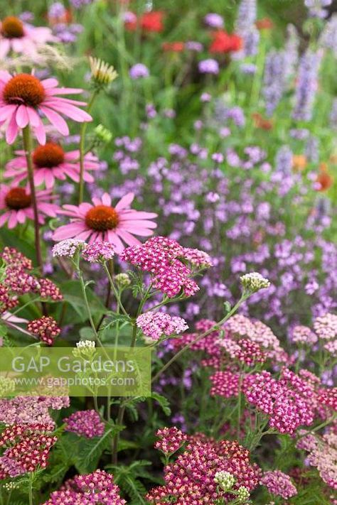 Hydrangea Aesthetic, Hillside Pool, Greens Garden, Garden River, Pool Bed, Conservatory Greenhouse, Prairie Planting, Lawn Landscape, Small Yards