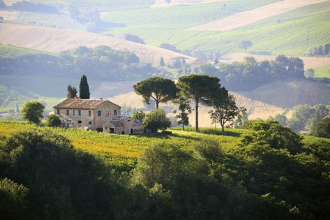 Italian Country Cottage, Italian Farm Aesthetic, Italian Countryside House, Italian Cottage, Italian Farm, Italy Countryside, House In The Hills, Italian Vineyard, Landscape Field