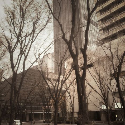 Cloudy Day, Trees, Building, Grey