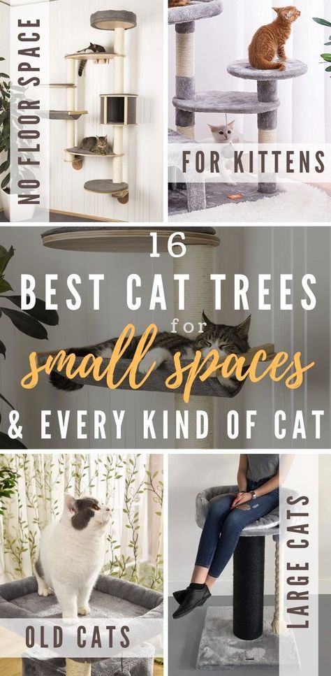 Cat Tree Wall Ideas, Corner Cat Tower, Cat Trees And Condos, Cat Wall Tree Diy, Apartment Cat Ideas Small Spaces, Cat Trees Diy, Cat Tower Diy, Apartment Cat Ideas, Diy Cat Wall Ideas