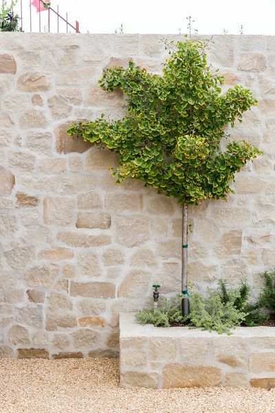 Stone Walls Garden, Gravel Garden, Walled Garden, Stone Garden, Mediterranean Garden, Garden Studio, Garden Pool, Garden Stones, Wainscoting