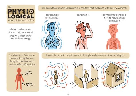 How to Design for Optimal Thermal Comfort (And Why it Matters),© Saint-Gobain / illustration by Elise Géhin Thermal Illustration, Building Insulation, Feature Wall Design, Saint Gobain, Data Visualization Design, Passive Design, Physical Environment, Passive Solar, Thermal Comfort