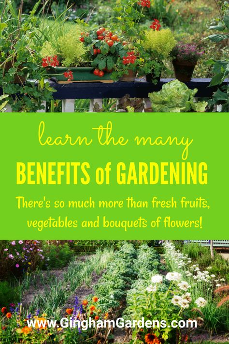 In addition to having access to fresh fruits, vegetables and flowers, there are so many other benefits of gardening like physical health and well-being for the gardener. There's the environmental, beautification of you yard and many, many more benefits of gardening. Gardening At Home, Horticulture Therapy, Garden Flowers Perennials, Bouquets Of Flowers, Benefits Of Gardening, Vegetable Garden For Beginners, Home Gardening, Physical Exercise, Flower Gardens