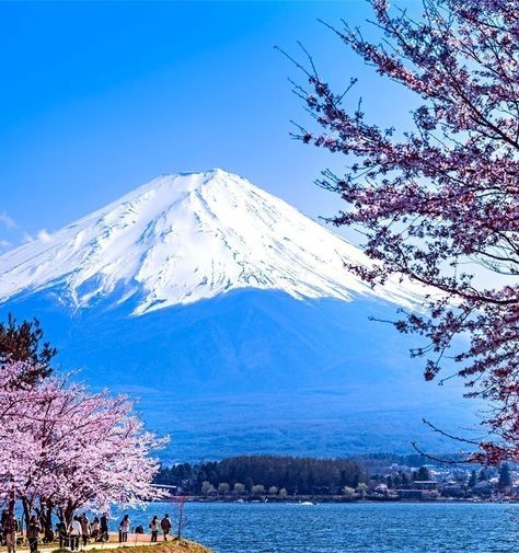 TOP 10 Tourist Attractions in Japan You Must Visit – Must Visit Destinations Japan Tourist Spots, Medieval Japanese, Japan Tourist, Golden Pavilion, Himeji Castle, The Rising Sun, Spring Resort, Visit Japan, Sacred Places