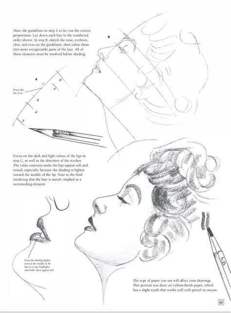 Pencil Art Drawings Creative Easy, Pencil Drawing Exercises, Pencil Art Drawings Creative, Drawing Exercises For Beginners, Anatomy Drawing Practice, Face Proportions Drawing, Drawing Topics, Portrait Drawing Tips, Art Of Drawing