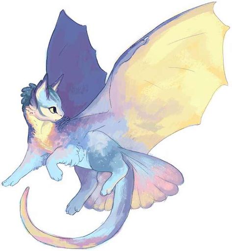 Cute Dragon by 'Noivern/Garden Dragon' - Imgur A Dragon, A Drawing, A Cat