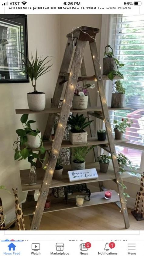 Repurpose an old ladder for charming plant display Old Wooden Ladder Ideas, Wooden Ladder Ideas, Old Ladder Decor, Old Ladder Ideas, Upcycle Ladder, Old Wood Ladder, Ladder Plant Stand, Old Wooden Ladders, Plant Ladder