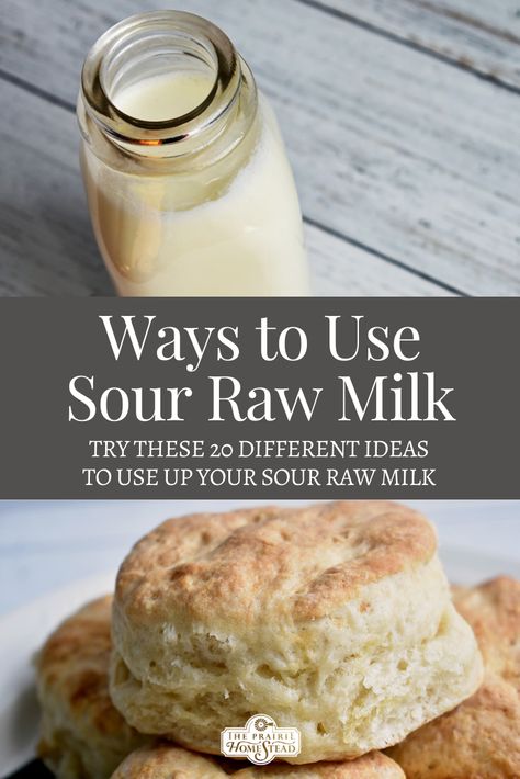 What To Do With Sour Milk Recipes For, Soured Milk Recipes, Lots Of Milk Recipes, Uses For Sour Milk, What To Make With Sour Milk, Recipes For Sour Milk, Spoiled Milk Uses, What To Do With Old Milk, How To Use Sour Milk