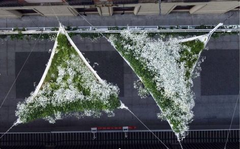 Green Shades: Unveiling the Magic of Vegetal Canopies Urban Green Space, Vegetal Canopy, Green Urban Design Public Spaces, Natural Air Conditioner, Sustainable Green Architecture, Installation Architecture, Social Housing Architecture, Urban Ideas, Urban Green Infrastructure