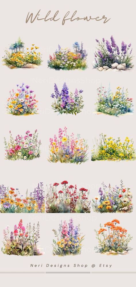 #CreativeClipart #ClipartCollection #DigitalArtElements #ClipartForDesigners #GraphicResources #ClipartSet #PrintableClipart #DigitalDownloadArt #ArtForCreators #DIYClipart Wildflower Drawing, Wildflower Watercolor, Wildflower Paintings, Clip Arts, Nature Art Painting, Flower Clipart, The Untamed, Flower Art Painting, Free Resources