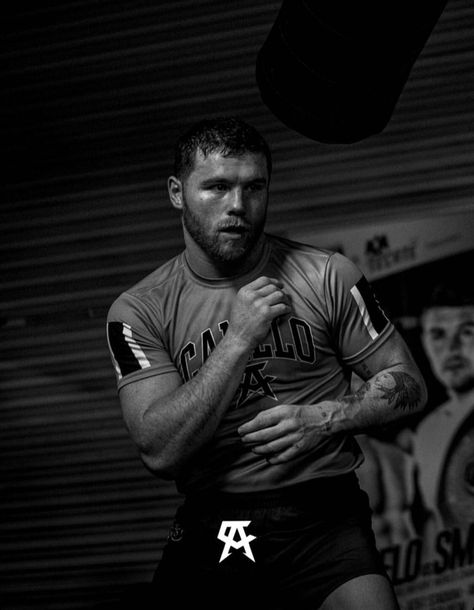 Canelo Alvarez Wallpaper for mobile phone, tablet, desktop computer and other devices HD and 4K wallpapers. Saul Canelo Alvarez, Boxing Clothes, Boxing Images, Trening Sztuk Walki, Ufc Boxing, Boxing Posters, Sport Boxing, Professional Boxer, Mma Boxing