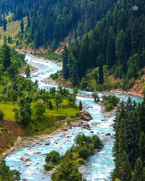 Nature, Beauty Of Kashmir, Beautiful View, Beautiful Place, Pictures To Paint, Nature Pictures, Nature Photos, Breathtaking Views, Beautiful Paintings