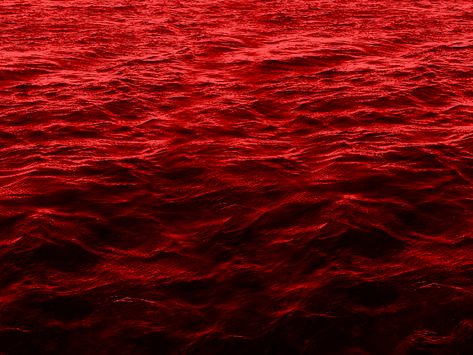 Water Texture, Blood In Water, Water Aesthetic, Water Background, Red Water, Water Surface, Blood Art, Free Textures, Texture Images