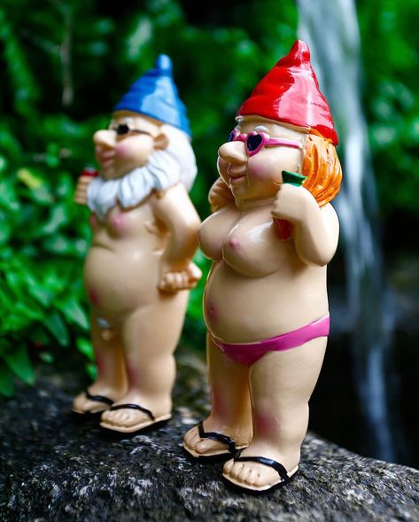 2Pcs Funny Garden Gnome,Rude Garden Gnomes Naughty Gnomes Garden Ornaments,Unusual Gift Interesting Garden Decoration Lawn Garden Outdoor Statue (2Pcs Funny Garden Gnome) Funny Statues, Funny Birthday Jokes, Gnome Decorations, Funny Garden Gnomes, Lawn Gnome, Balcony Window, Garden Gnomes Statue, Resin Making, Prank Gifts