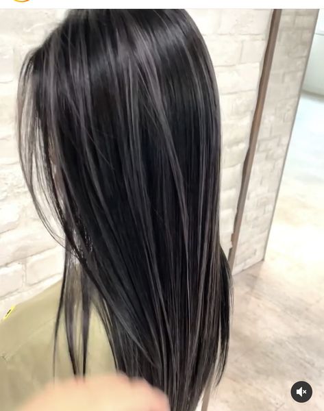 Hair Color Ideas For Thick Wavy Hair, Black With Light Highlights, Black Hair With Brown Streaks, Black Hair Inspo Color, Streaking Hair Highlights, Cool Toned Highlights On Dark Hair, Black Hair With Streaks, Brunette Dyed Hair, Gray Highlights On Black Hair