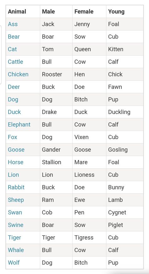 Fantasy Animals Names, Female Animal Names, Animal Names In English, Male Nature Names, Young Ones Of Animals, Female Pet Names, Names Of Animals In English, Male And Female Animals, Scientific Name Of Animals