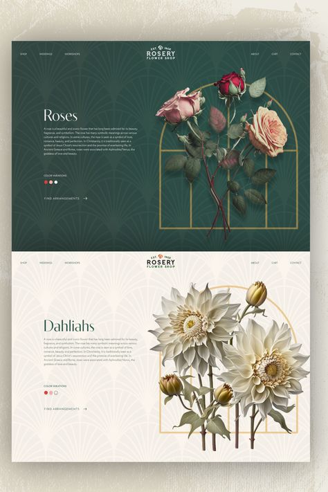 Flower Facts web page Web Flower Design, Flower Portfolio Design, Floral Layout Design, Graphic Design Deliverables, Floral Website Design Inspiration, Beautiful Powerpoint Design, Art Studio Website, Art Deco Web Design, Flower Shop Graphic Design