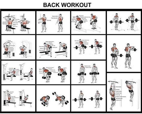 Strength Training Back Workout, Wide Back Workout Men, Complete Back Workout, At Home Back Workout For Men, Mens Back Workout, Db Back Workouts, Mid Back Workout, Demon Back Workout, Back Dumbbell Workout