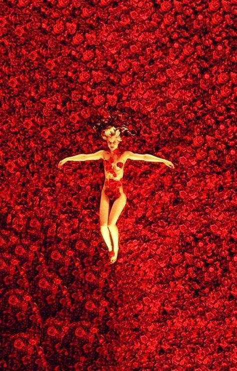 Roses..... American Beauty David Hasselhoff Baywatch, American Beauty Movie, John Wesley Shipp, Mena Suvari, Damien Chazelle, Robert Englund, The Dictator, Ashley Johnson, Mickey Rourke