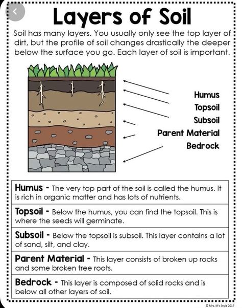 6th Grade Science, Agriculture Education Classroom, Layers Of Soil, Earth Science Activities, Earth Science Lessons, 7th Grade Science, Agriculture Education, Geography Lessons, 4th Grade Science