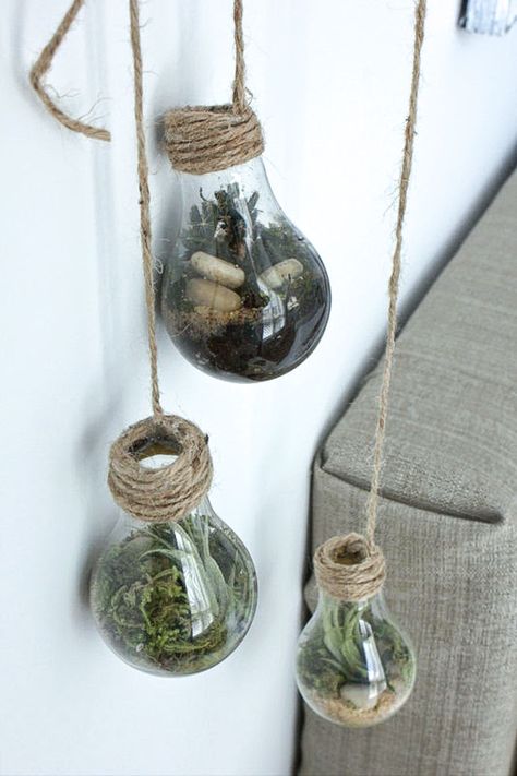 Light Bulb Terrarium Diy, Lightbulb Terrarium, Diy Light Bulb Crafts, Bulb Terrarium, Light Bulb Terrarium, Diy Hanging Light, Light Bulb Vase, Diy Light Bulb, Light Bulb Crafts