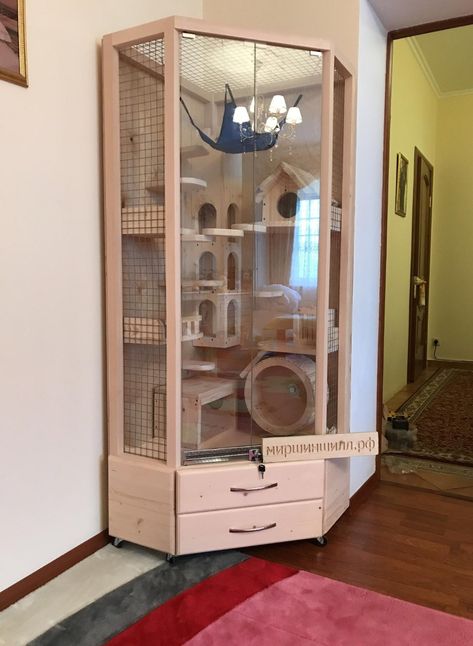 Pet Pigeon, Cage Hamster, Cat Furniture Design, Chinchilla Cage, Ferret Cage, Fish Tank Terrarium, Cat Patio, Cat Hotel, Rat Cage